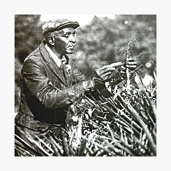 Item preview, Carver - George Washington Carver - The Greatest Plants Lover designed and sold by VintagePeople.