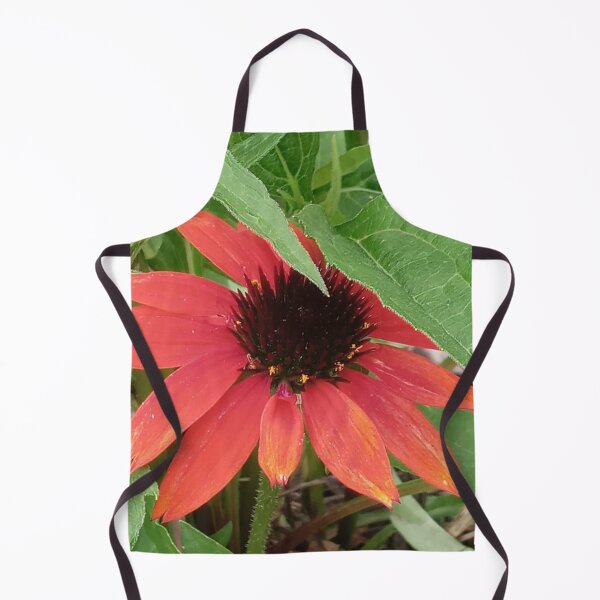 Item preview, CONEFLOWER designed and sold by PCCARES.