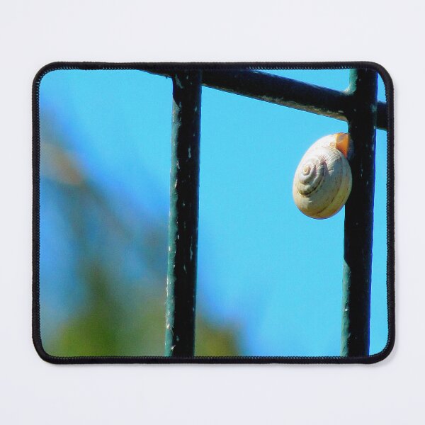 Item preview, The snail designed and sold by ART22.