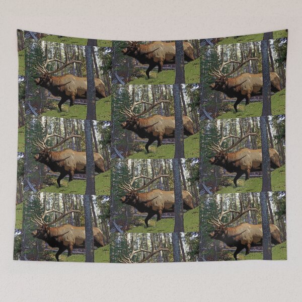 Item preview, Bull elk in pine forest  designed and sold by Saltypro.