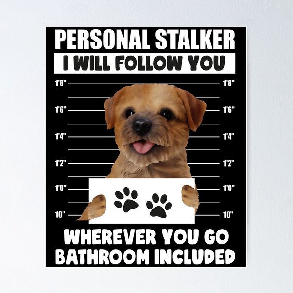 Personal Stalker Dog, Shih Tzu, Funny Shih Tzu Puppies memes, Shih Tzu  Owner Gifts, Poodle Puppy, Personal Stalker I will Follow You Wherever You  Go Bathroom Included Greeting Card for Sale by