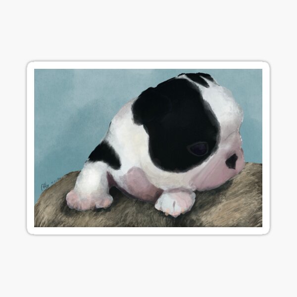 Item preview, Boston Terrier Puppy designed and sold by DorkynChill.