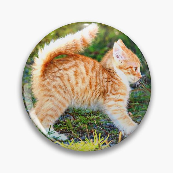 Item preview, Cute Orange Kitten Playing designed and sold by AllyBurnett.