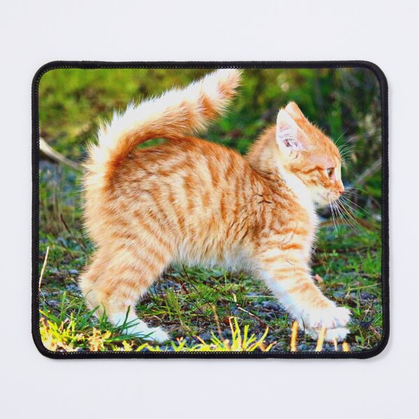 Item preview, Cute Orange Kitten Playing designed and sold by AllyBurnett.