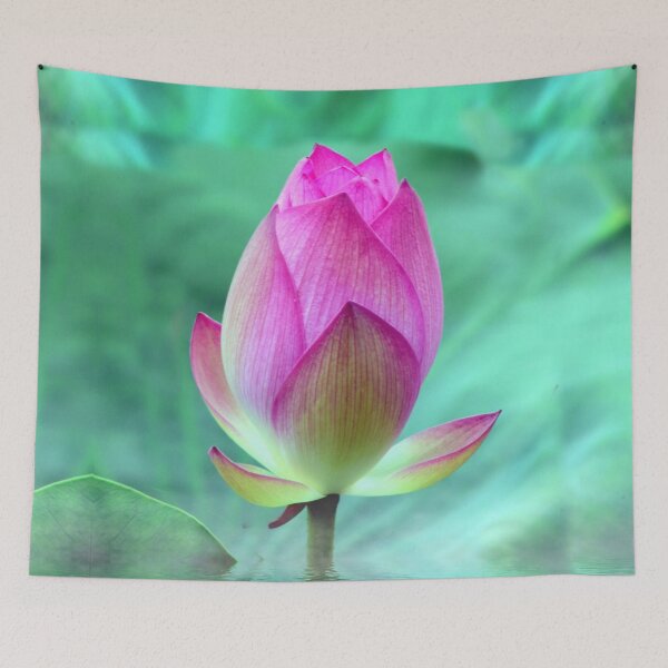 Item preview, Hermosa flor de loto y estanque designed and sold by Flowerone.