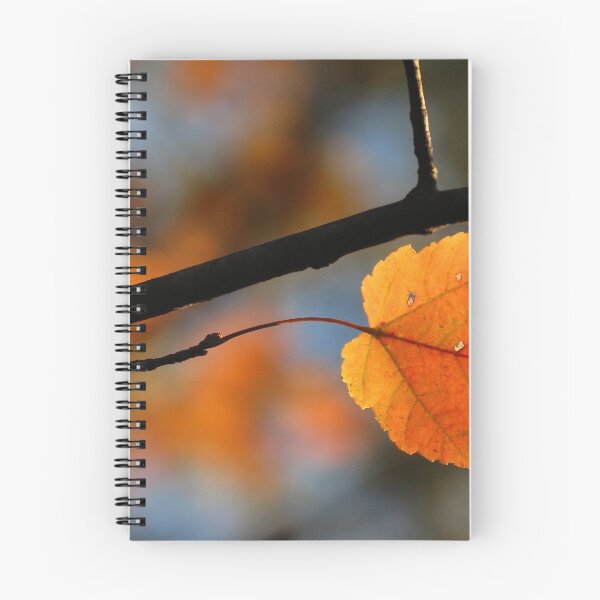Item preview, Autumn Arrives designed and sold by Roger Easley.