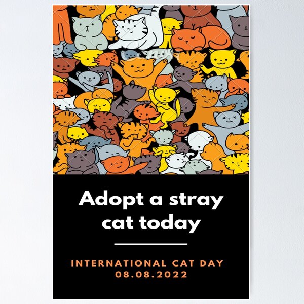 ADOPT ME, SUPPORT YOUR LOCAL CATS Poster for Sale by jingo08