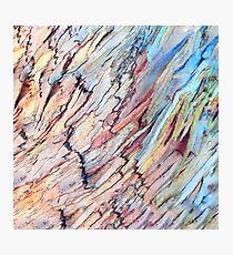 Non-Native Spectrum Photographic Print
