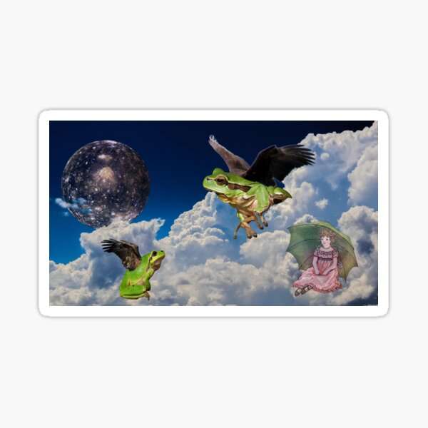 Item preview, When Frogs Fly designed and sold by CurrantJam.