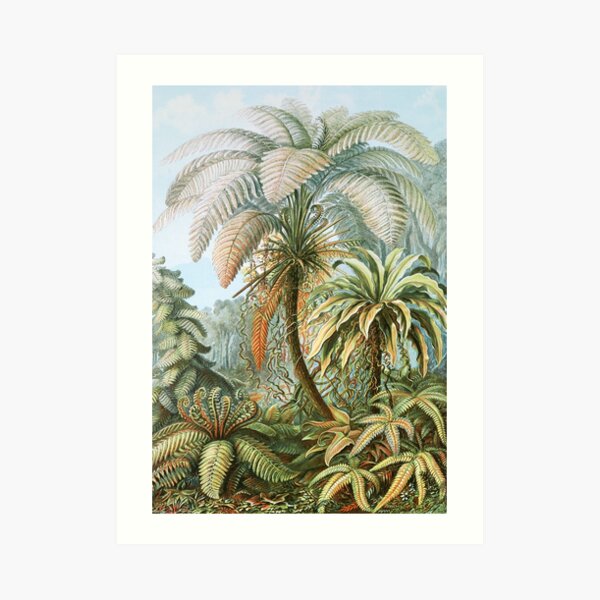 Vintage Fern and Palm Tree Art Art Print