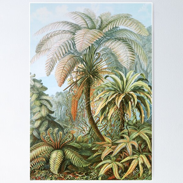 Item preview, Vintage Fern and Palm Tree Art designed and sold by Vintage Wall Art.