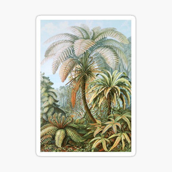 Item preview, Vintage Fern and Palm Tree Art designed and sold by Vintage Wall Art.