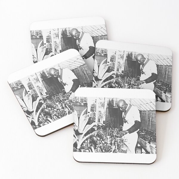 Item preview, Carver - George Washington Carver with Plants designed and sold by VintagePeople.