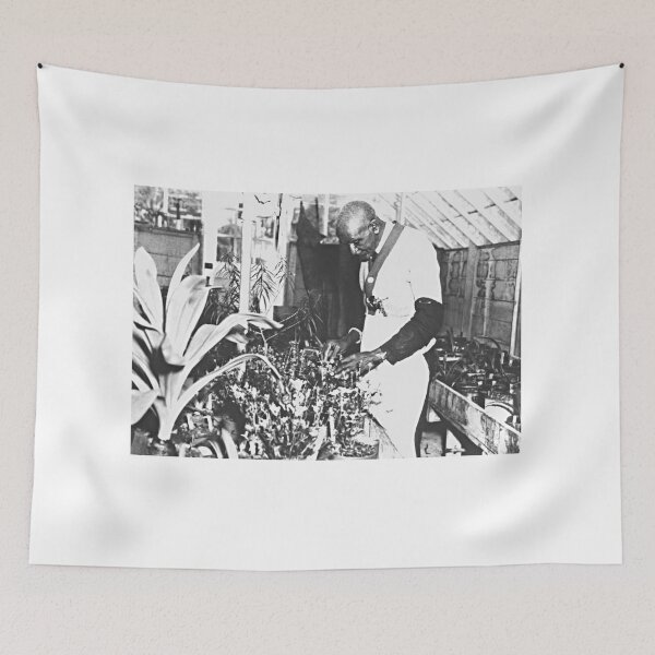 Item preview, Carver - George Washington Carver with Plants designed and sold by VintagePeople.