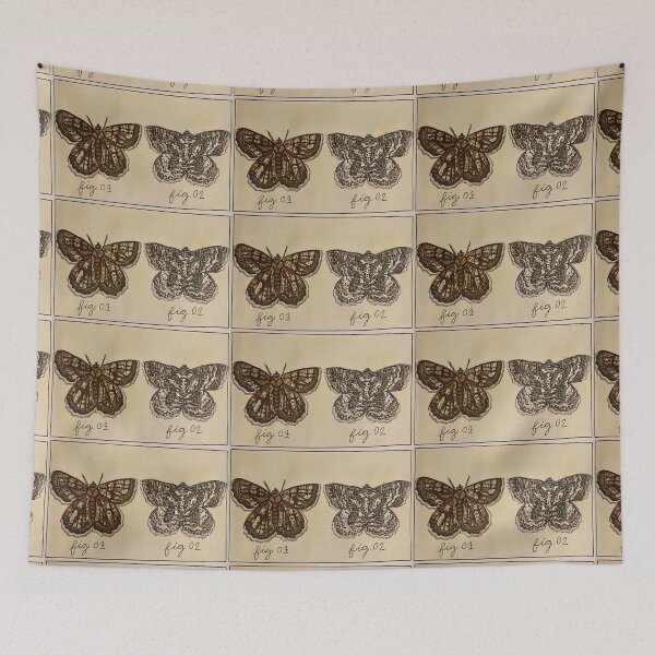 Item preview, Moth- Scientific Index designed and sold by Danielle Seay.