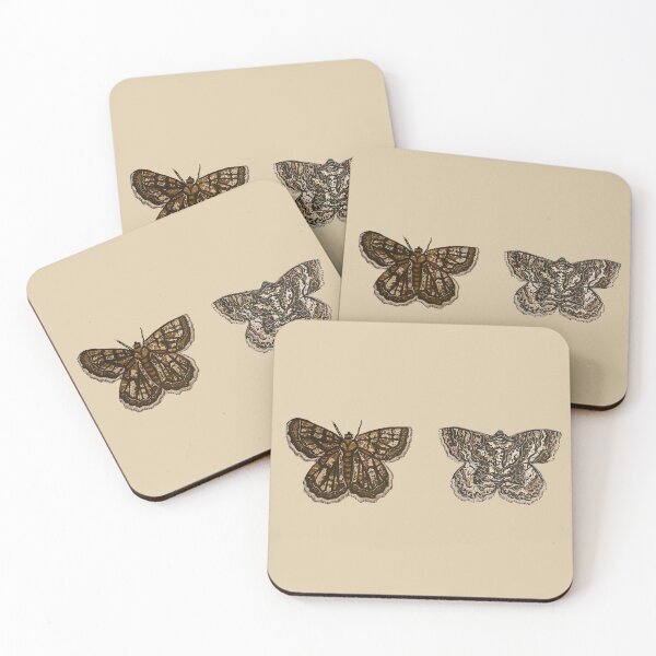 Item preview,  Moth- Scientific Index, No background designed and sold by Danielle Seay.