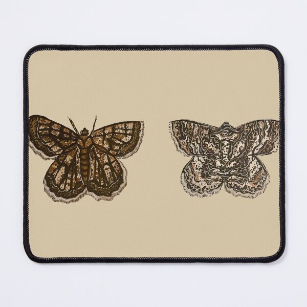Item preview,  Moth- Scientific Index, No background designed and sold by Danielle Seay.