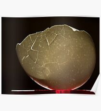 Shining Through the Cracks Poster