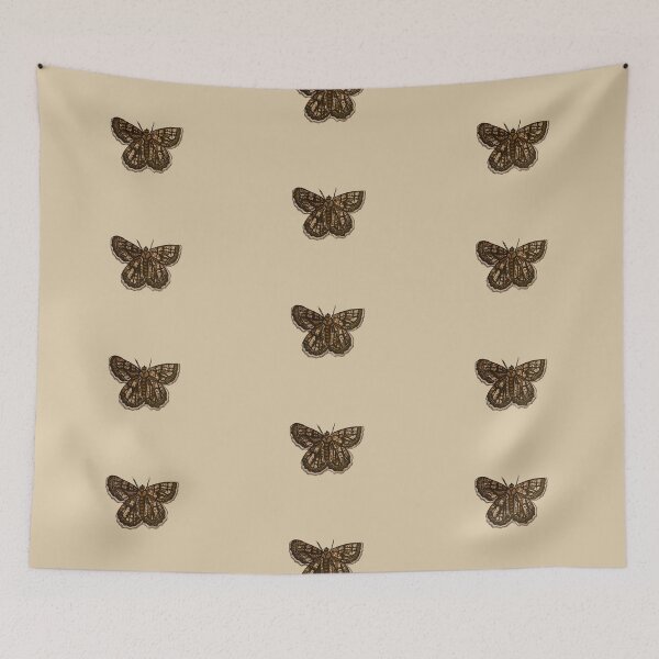 Item preview, Moth- Scientific Index, front designed and sold by Danielle Seay.