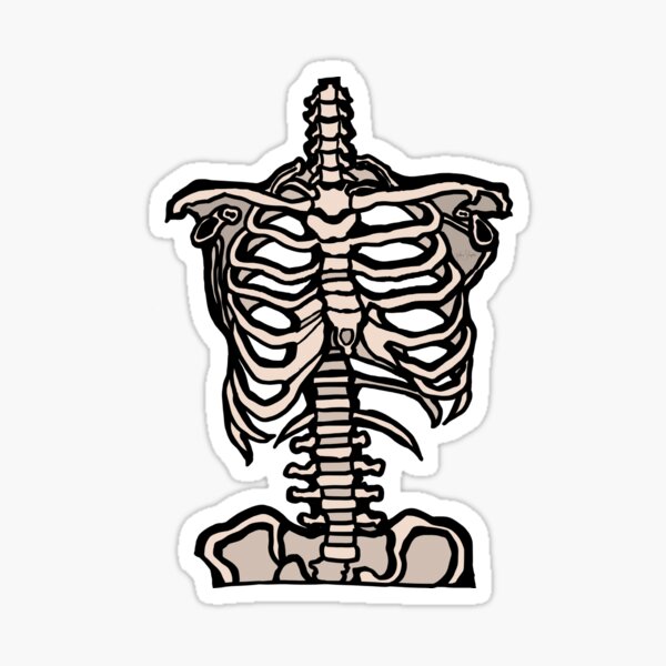 "Rib Cage" Sticker for Sale by ParaPrints Redbubble