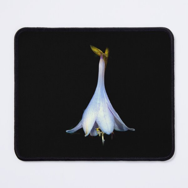 Item preview, Looking - A View  designed and sold by Carl Gaynor.