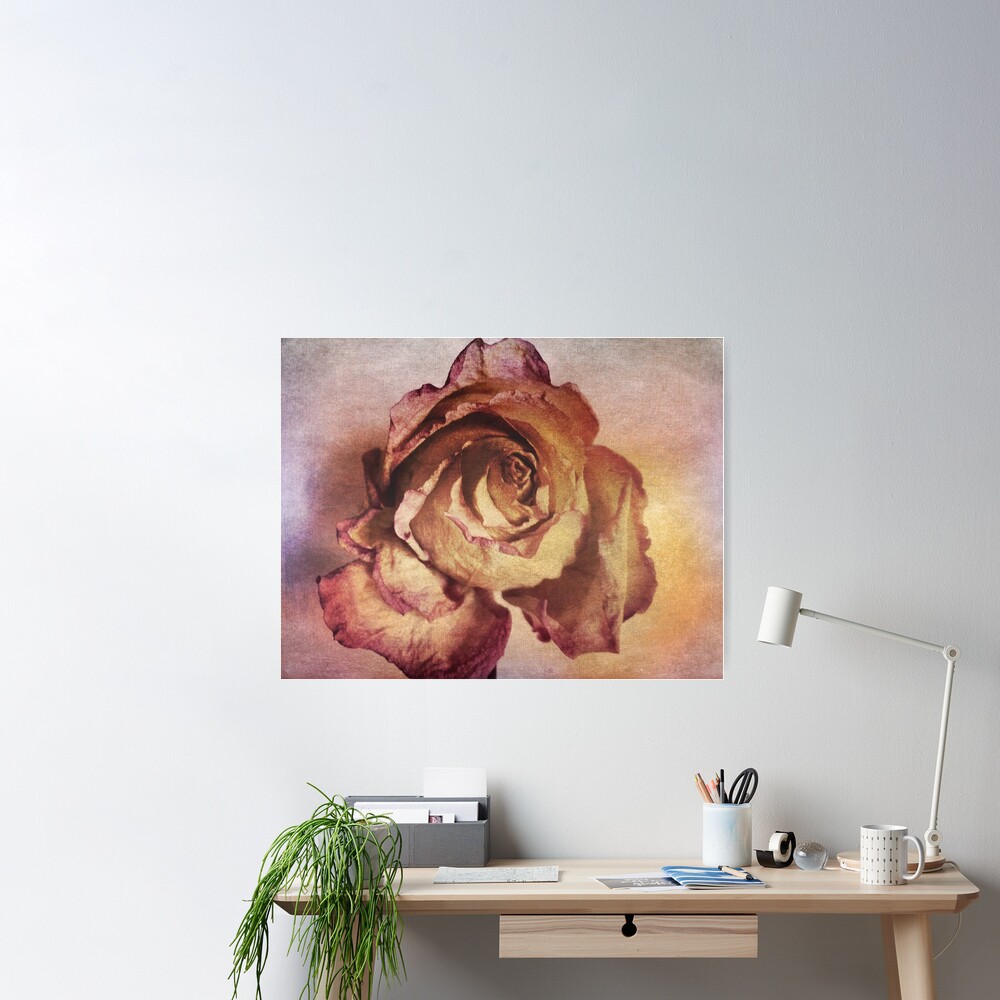 Rose in Time - Flower Lovers - Vintage Dusty Pink Rose Art Poster