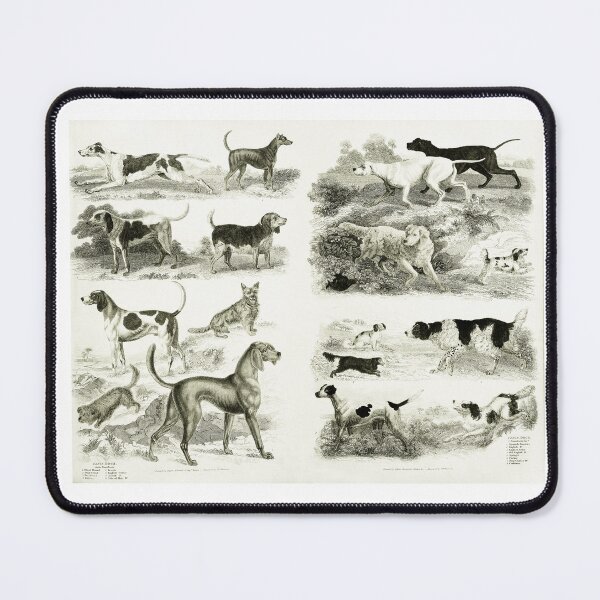 Item preview, Old English Dog Breeds designed and sold by ArtShare.