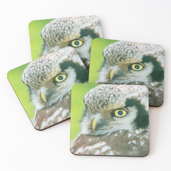 Item preview, Northern Hawk Owl designed and sold by Dominika Aniola.