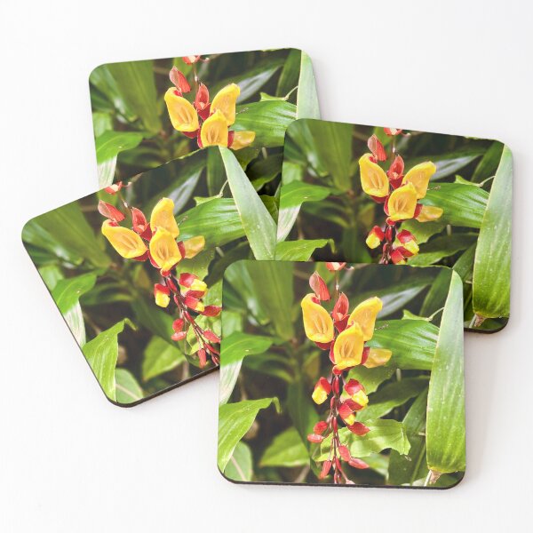 Item preview, Mysore Trumpetvine designed and sold by Nebuliz.