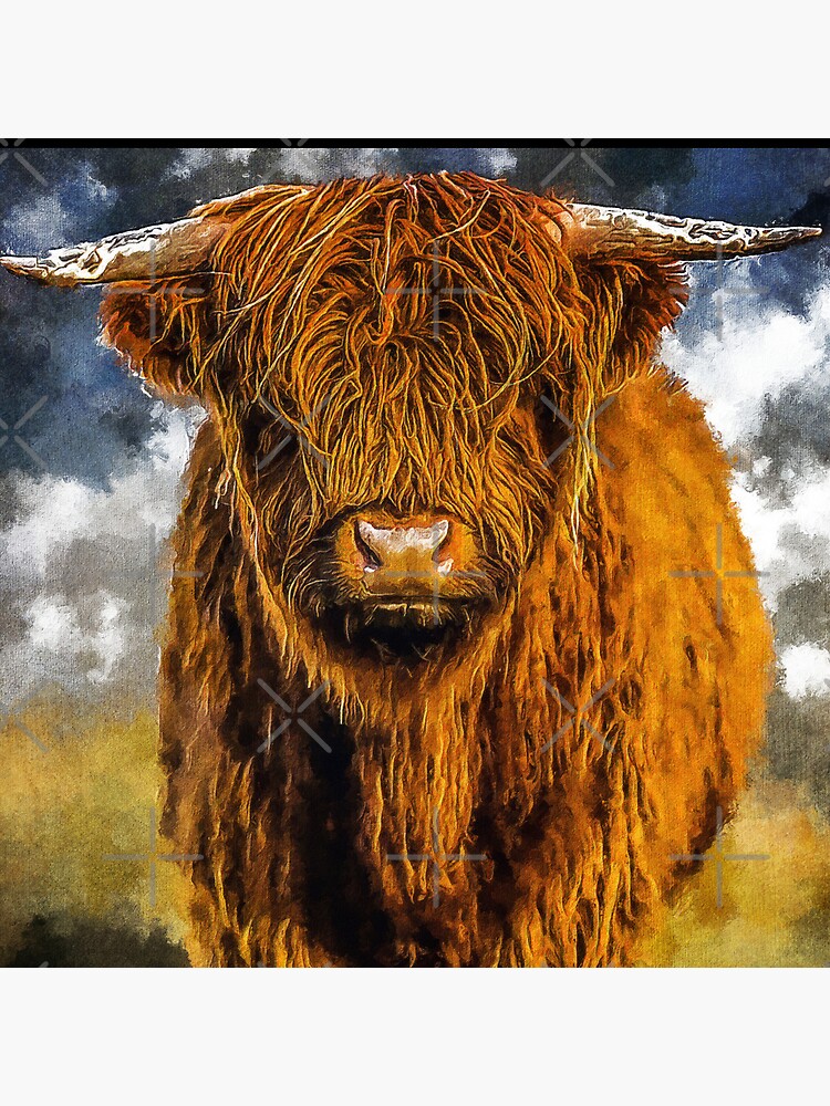 Scottish Highland Cows - Adorable Fluffy Long Haired Cow Facts!