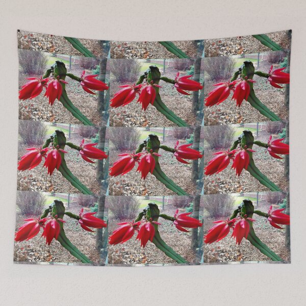 Item preview, BLOSSOMING POLYNESIAN DRAGON CACTUS designed and sold by JoAnnHayden.