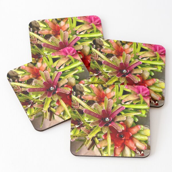 Item preview, Blushing Bromeliad designed and sold by Nebuliz.