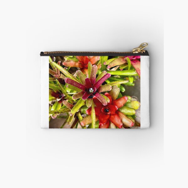 Item preview, Blushing Bromeliad designed and sold by Nebuliz.