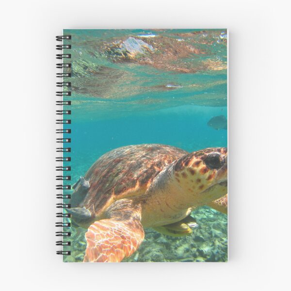 Item preview, Green Sea Turtle designed and sold by tidepools4life.