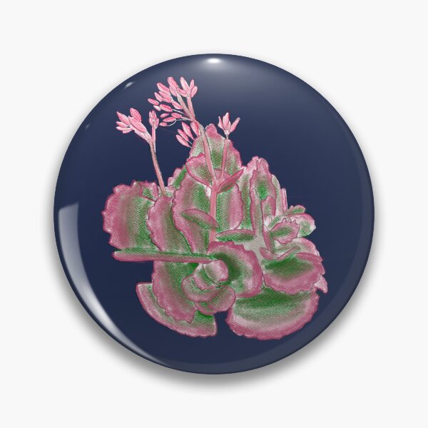 Item preview, Watermelon the Kalanchoe Cactus designed and sold by BondiPlants.