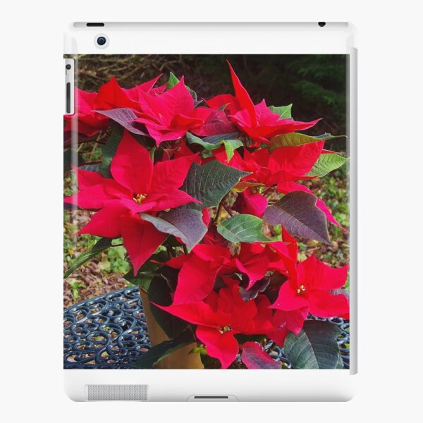 Poinsettias for Christmas iPad Snap Case