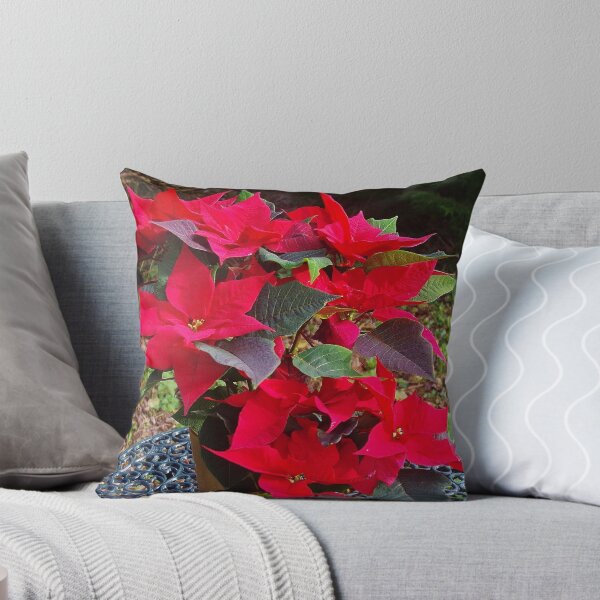 Item preview, Poinsettias for Christmas designed and sold by lezvee.