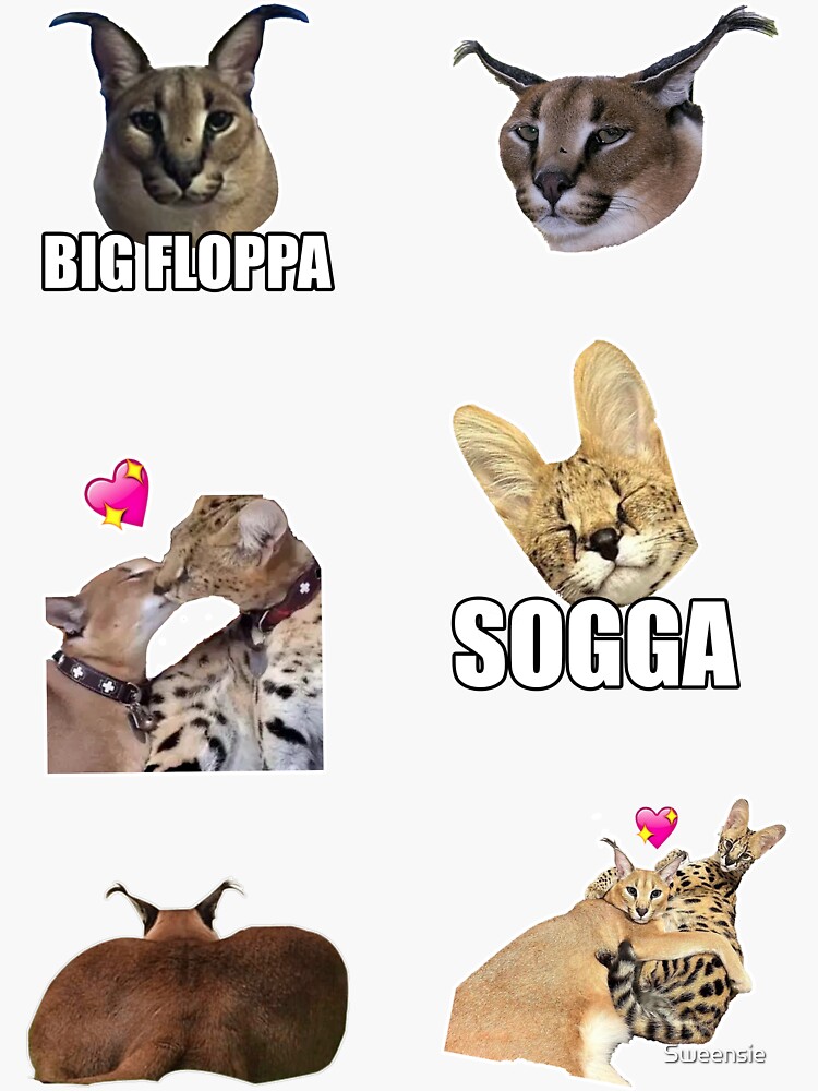 big floppa meme Sticker for Sale by BE FUN