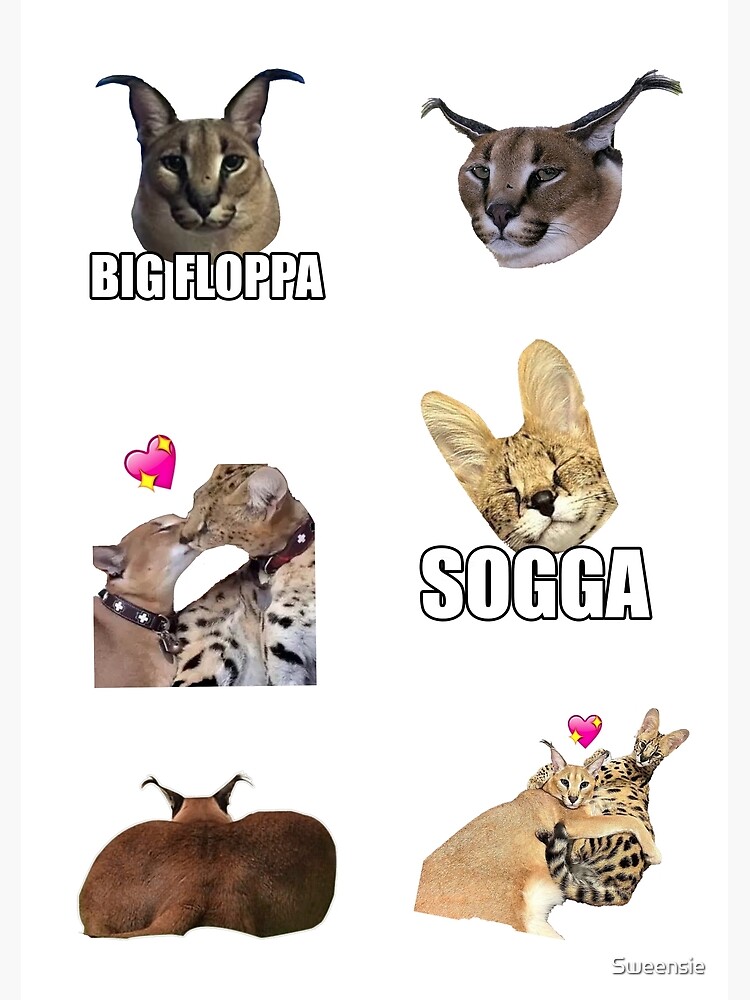 big floppa meme Canvas Print for Sale by momshow