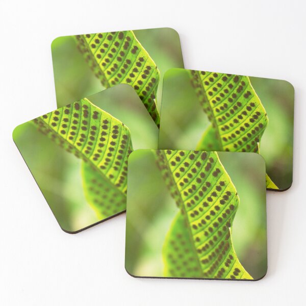 Item preview, Leaf at El Yunque National Forest (Full Image) designed and sold by Maritza Morales.