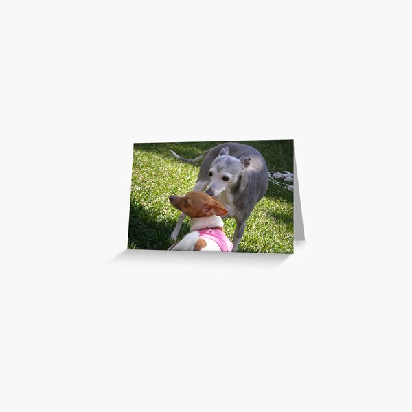 "I'm not that kind of girl" Greeting Card