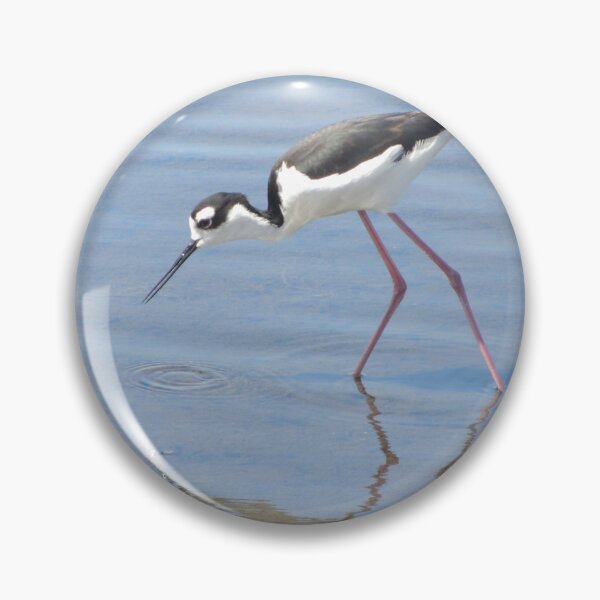 Item preview, Black Necked Stilt designed and sold by Robert Ball.