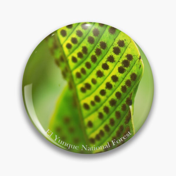Item preview, Leaf at El Yunque National Forest  designed and sold by Maritza Morales.