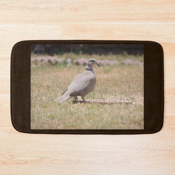 Item preview, Ring Necked Dove designed and sold by Robert Ball.