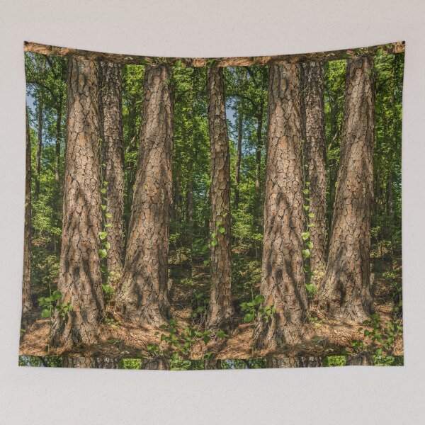 Item preview, Dappled Light designed and sold by Susan  Nixon.