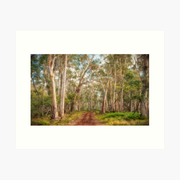 Item preview, A Road Less Travelled - Coolah Tops National Park designed and sold by Salieri1627.