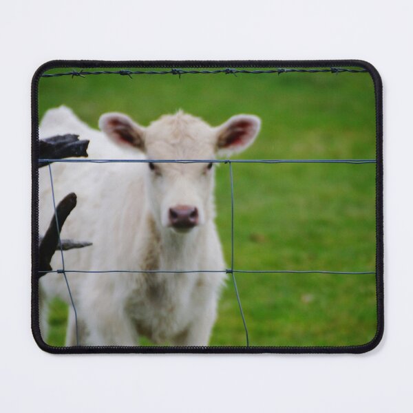 Item preview, Caged designed and sold by D-GaP.