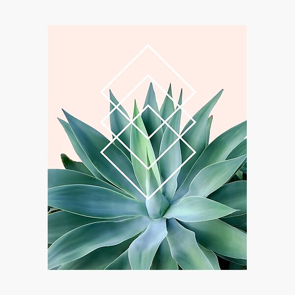 Item preview, Agave geometrics - peach designed and sold by Gale Switzer.