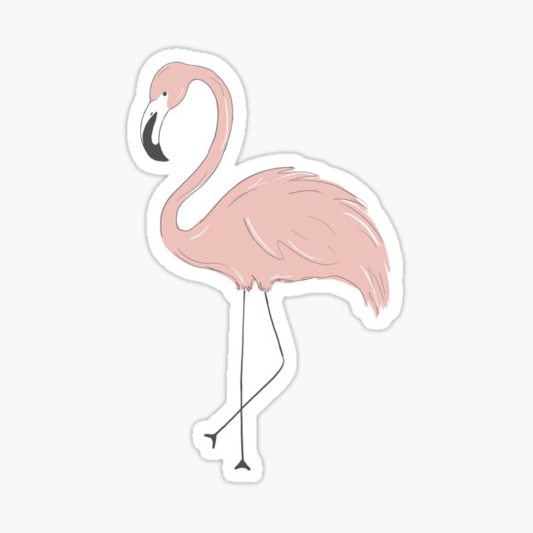 Flamingo Gifts Merchandise Redbubble