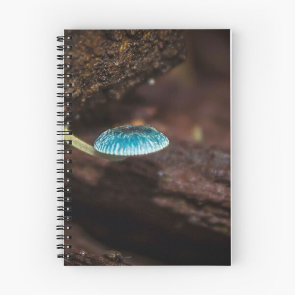 Item preview.